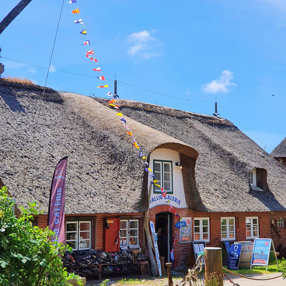 Hallig-Galerie auf Hanswarft