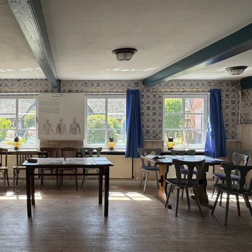 Der Seehund auf Hanswarft