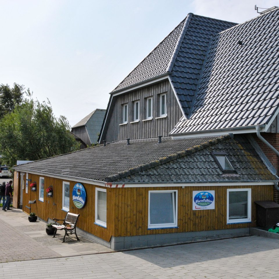 Sturmflutkino auf Hanswarft